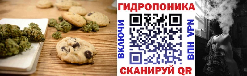 ОМГ ОМГ зеркало  наркотики  Малаховка  Печенье с ТГК конопля 