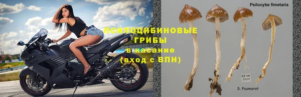 ALPHA PVP Алзамай