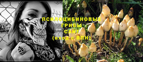 дурь Алексин
